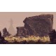 Blasphemous EU PC Steam CD Key