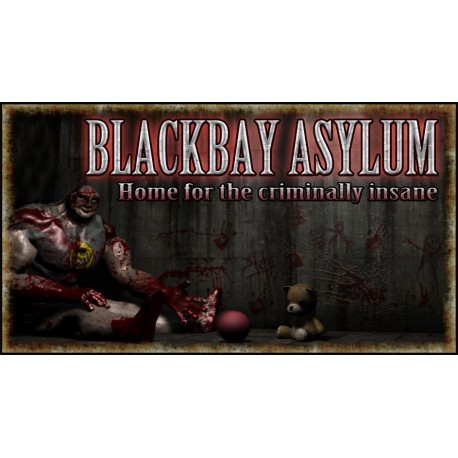 Blackbay Asylum EU Steam CD Key