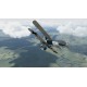 Rise of Flight: Channel Battles Edition - Furious Wings DLC Steam CD Key