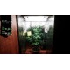 Drug Dealer Simulator EU PC Steam Altergift