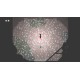 ITTA PC Steam CD Key