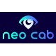Neo Cab PC Steam CD Key