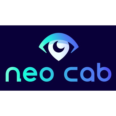 Neo Cab PC Steam CD Key