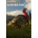 theHunter: Call of the Wild - Silver Ridge Peaks DLC EU PC Steam Altergift