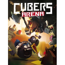 Cubers: Arena Steam CD Key