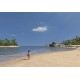 Tropico 3: Steam Special Edition EU PC Steam CD Key