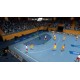 IHF Handball Challenge 14 PC Steam CD Key