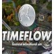 Timeflow - Time & Money Sim Steam CD Key