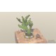 Cloud Gardens PC Steam CD Key