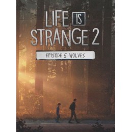 Life is Strange 2 - Episode 5 Steam CD Key