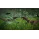 Jurassic World Evolution Premium Edition Steam CD Key