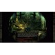 Icewind Dale: Enhanced Edition EU PC Steam CD Key