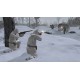 Company of Heroes 2 All Out War Edition PC Steam CD Key