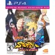 NARUTO SHIPPUDEN: Ultimate Ninja STORM 4 Road to Boruto EU Steam CD Key