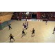 IHF Handball Challenge 12 PC Steam CD Key