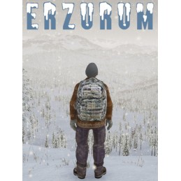 Erzurum Steam CD Key