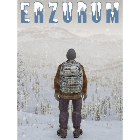 Erzurum Steam CD Key
