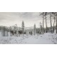 Erzurum Steam CD Key