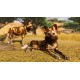 Planet Zoo Deluxe Edition EU PC Steam CD Key