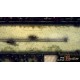 Rustler PC Steam CD Key