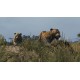 Cabela's Dangerous Hunts 2013 Steam CD Key