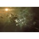 Endless Legend Definitive Edition Steam CD Key