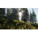 theHunter: Call of the Wild - Bloodhound DLC EU Steam Altergift
