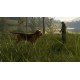 theHunter: Call of the Wild - Bloodhound DLC EU PC Steam Altergift