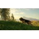 theHunter: Call of the Wild - Bloodhound DLC EU PC Steam Altergift
