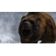 Cabela's Dangerous Hunts 2013 PC Steam Gift