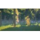 Sunlight PC Steam CD Key
