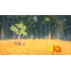 Sunlight PC Steam CD Key