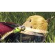 Xenoblade Chronicles Definitive Edition US Nintendo Switch CD Key