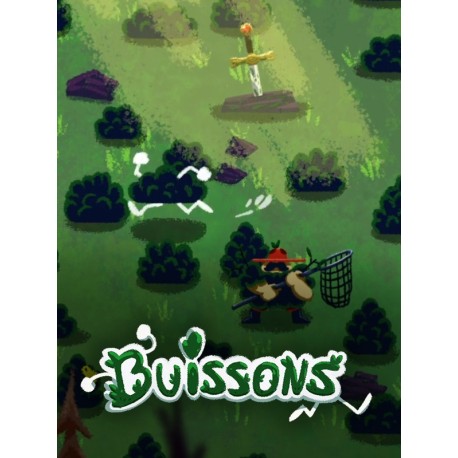 Buissons Steam CD Key
