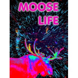 Moose Life Steam CD Key
