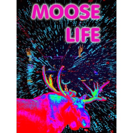 Moose Life Steam CD Key