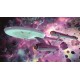 Star Trek: Bridge Crew EU Steam CD Key