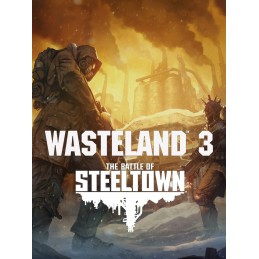 Wasteland 3 - The Battle of Steeltown DLC Steam Altergift