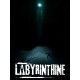 Labyrinthine PC Steam CD Key