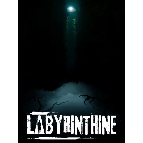 Labyrinthine PC Steam CD Key