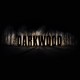 Darkwood EU PC Steam CD Key