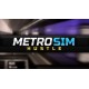 Metro Sim Hustle PC Steam Altergift