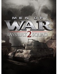 Men of War: Assault Squad 2 EU PC Steam CD Key