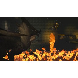 Dragon Chase Steam CD Key