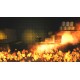 Dragon Chase Steam CD Key