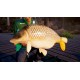 Fishing Sim World: Pro Tour Collector's Edition EU XBOX One CD Key