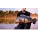 Fishing Sim World: Pro Tour Collector's Edition EU XBOX One CD Key