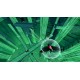 Boomerang X PC Steam CD Key