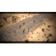 Sheltered 2 PC Steam CD Key