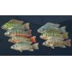 Ultimate Fishing Simulator - Kariba Dam DLC PC Steam CD Key